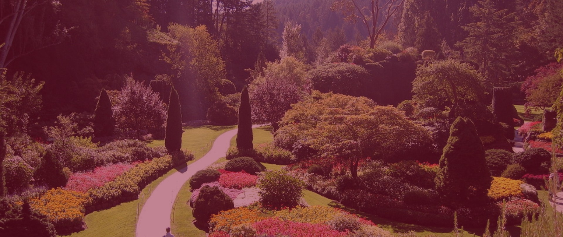 jardin mussidan 1920×810 pourpre50 jardin de mussidan