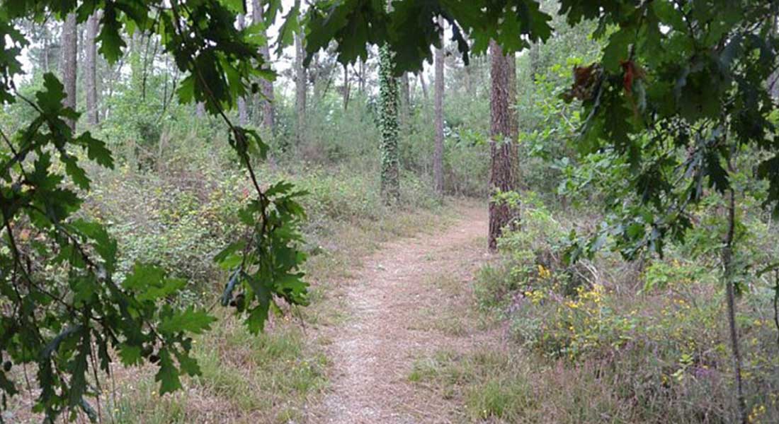 chemin sur le sentier du petit poucet proche de mussidan